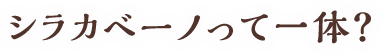 シラカベーノって一体？